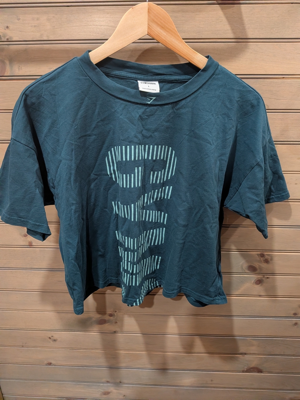 Cropped Teal Graphic Kids T-Shirt